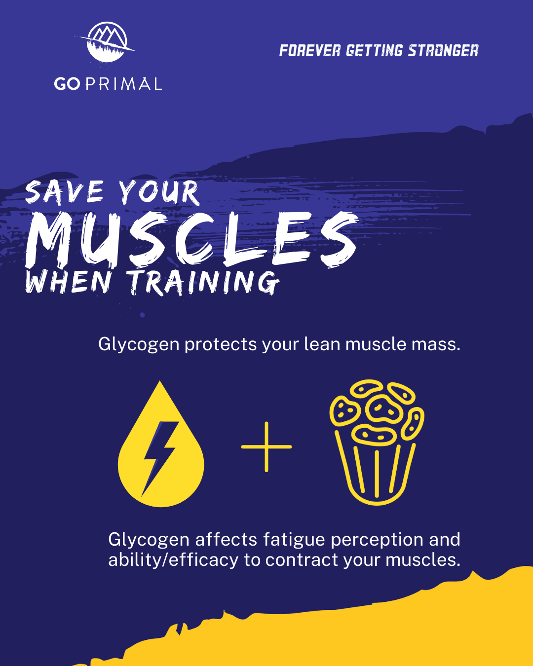 Glycogen: The Fuel for Muscles During Training and the Crucial Role of