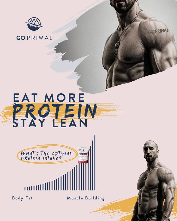 Eat more protein stay lean: What's the optimal quantity - GO PRIMAL