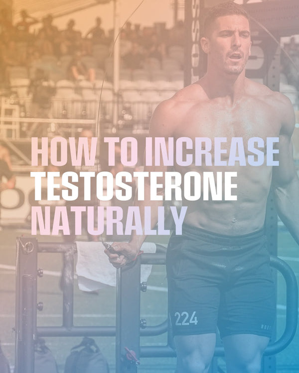 How to increase Testosterone naturally - GO PRIMAL