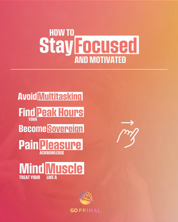 How to Stay Focused and Increase Motivation - GO PRIMAL