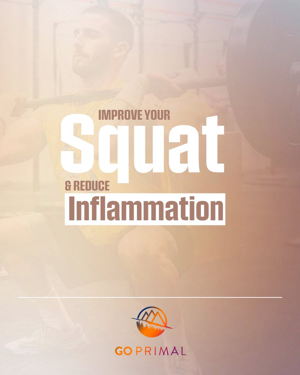 Improve Your Squat and Reduce Inflammation - GO PRIMAL