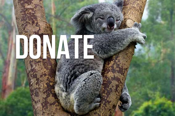 Save Australia´s WildLife: Donate