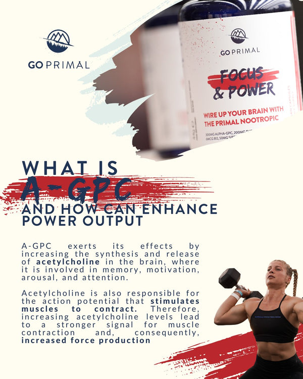 What is A-GPC, How to use and What are the benefits in training and cognitive function - GO PRIMAL