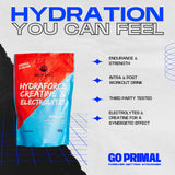 HydraForce - Electrolytes, Creatine and Vit. C - GO PRIMALSupplementGO PRIMAL