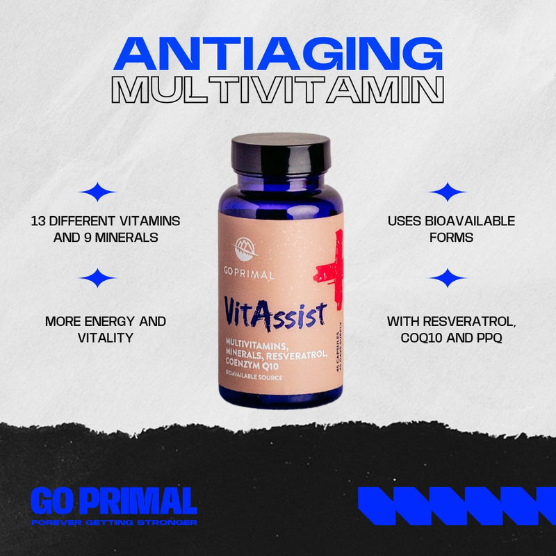 VitAssist - The Multivitamin - GO PRIMALSupplementGO PRIMAL